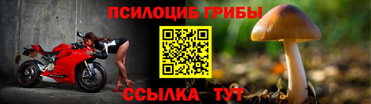 Урай  Псилоцибиновые грибы прущие грибы  Вход с VPN  Псилоцибиновые грибы GOLDEN TEACHER 